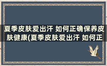 夏季皮肤爱出汗 如何正确保养皮肤健康(夏季皮肤爱出汗 如何正确保养皮肤的方法)